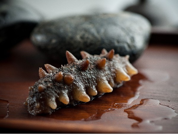 海參需長期食用，保健作用更持久