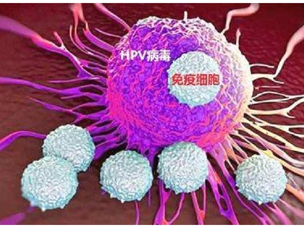 感染hpv后，補硒真的有用嗎？