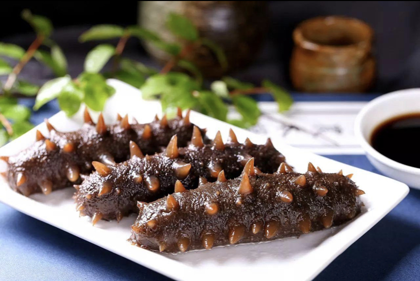 海參：營養豐富的海珍品