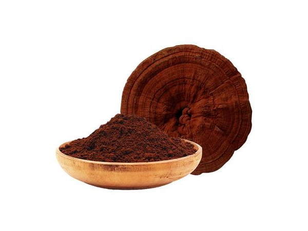 靈芝孢子粉為什么選用大別山的？