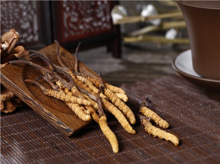 冬蟲夏草有什么禁忌？