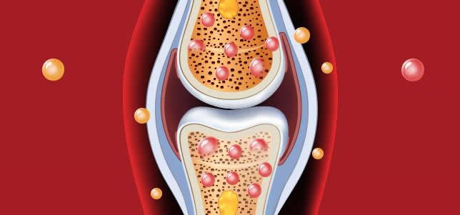 膠原蛋白對(duì)骨骼的作用
