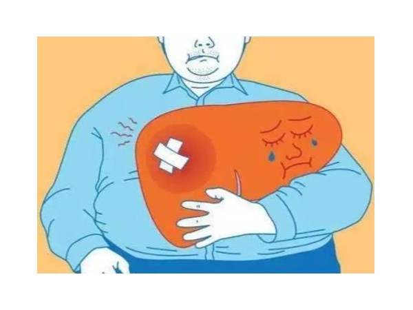 養(yǎng)肝五大訣竅，硒和五味子的那些秘密