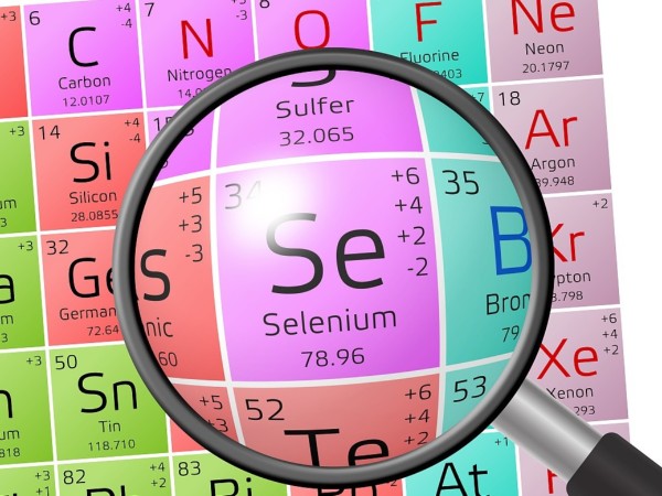 硒與人體器官的秘密關系