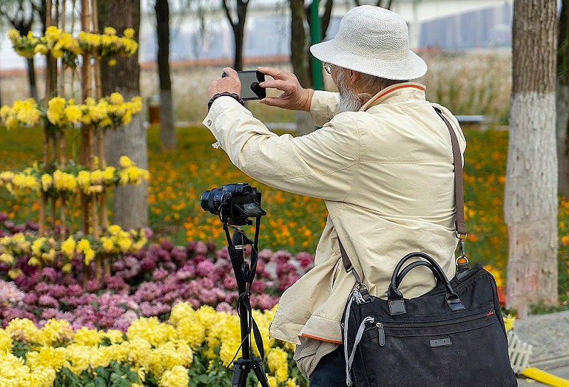 千庫網_重陽節老人菊花 攝影_攝影圖編號96061