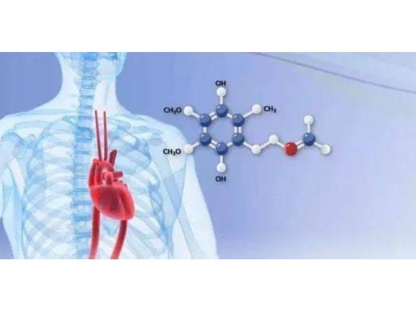 輔酶Q10：缺乏會對人體健康產生哪些影響？