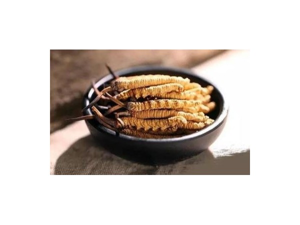 中國冬蟲夏草發(fā)展現(xiàn)狀分析，未來潛力巨大