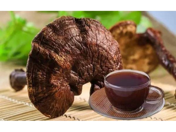 桂仁小課堂——靈芝孢子粉月經期間還能吃嗎？